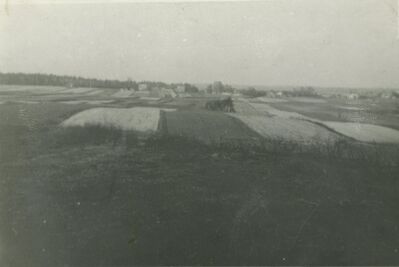 Widok z granicy Wilopolai Stanicy na lasek Grelichowy i nieistniejący lasek Lazajowy. 1976r. Ze zbiorów państwa Klyszcz. 
